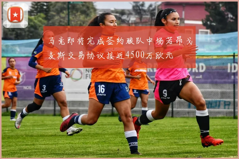 马竞即将完成签约狼队中场若昂戈麦斯交易协议接近4500万欧元